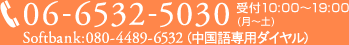 TEL:06-6532-5030 受付10:00～19:00(月～土) Softbank:080-4489-6532（中国語専用ダイヤル）